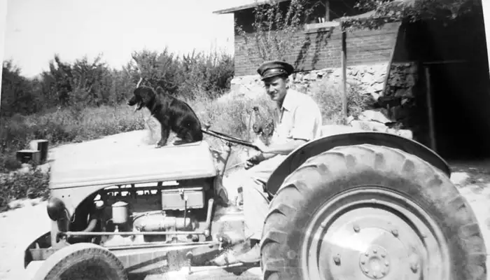 Grampa on a tractor with his dog on the family farm